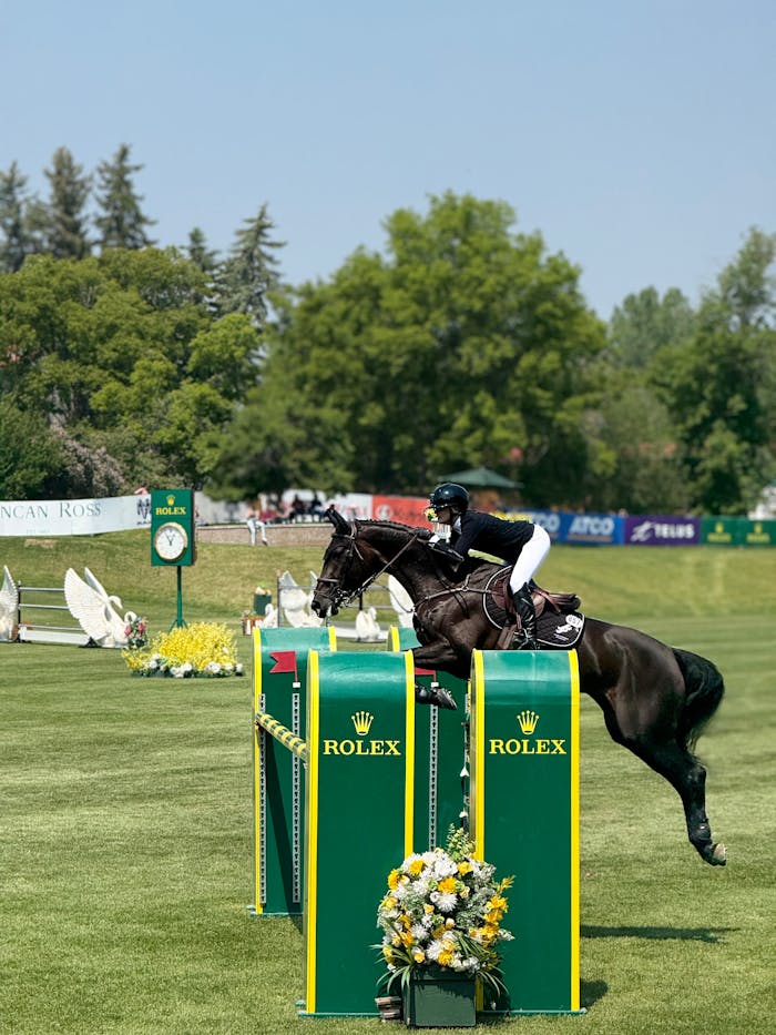 Horse and rider competing in equestrian jumping event on a sunny day.